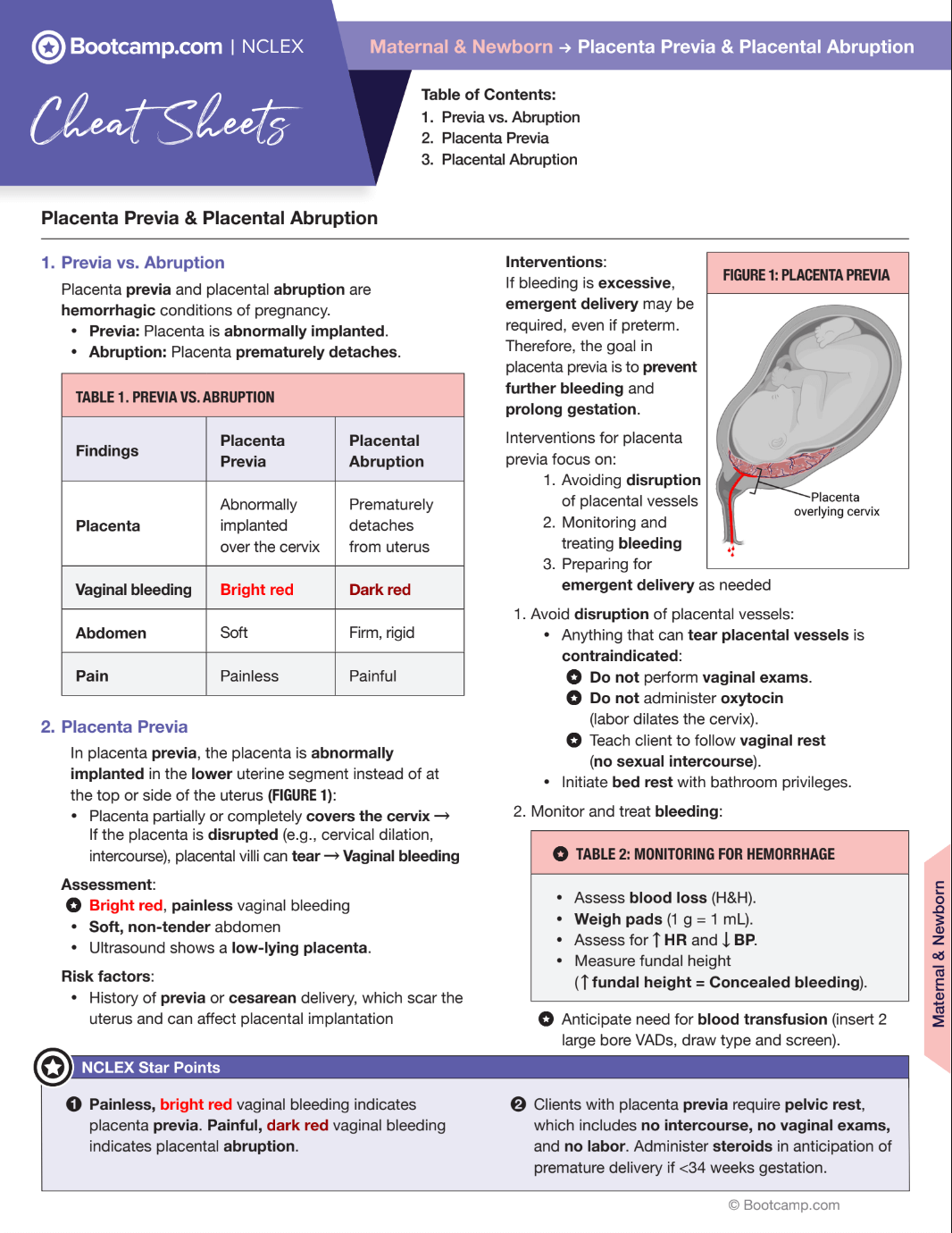 ［入手困難］ PLACENTA／CONDEMNED Placenta Model with Removable Umbilical Cord
